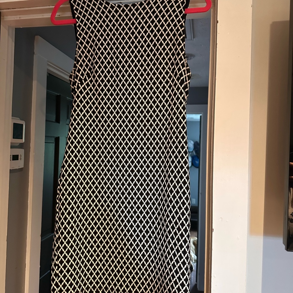 Alice Blue Black and White Patterned Dress